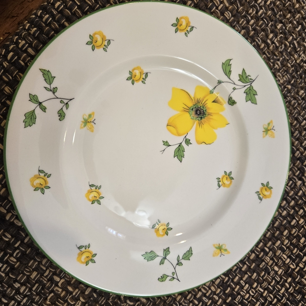 9 Royal Victoria fine bone china plates